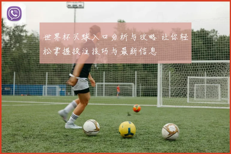 世界杯买球入口分析与攻略 让你轻松掌握投注技巧与最新信息