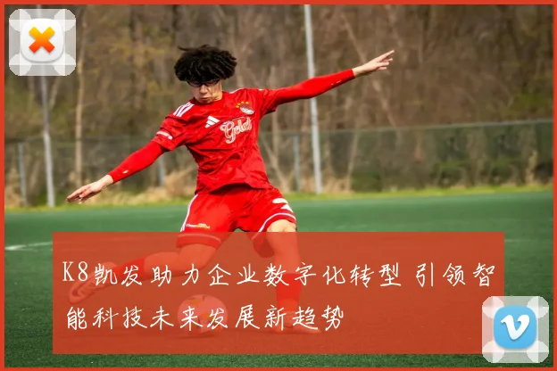 K8凯发助力企业数字化转型 引领智能科技未来发展新趋势