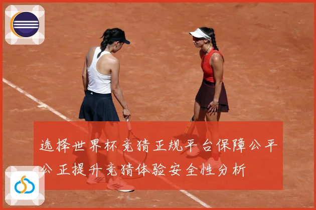 选择世界杯竞猜正规平台保障公平公正提升竞猜体验安全性分析