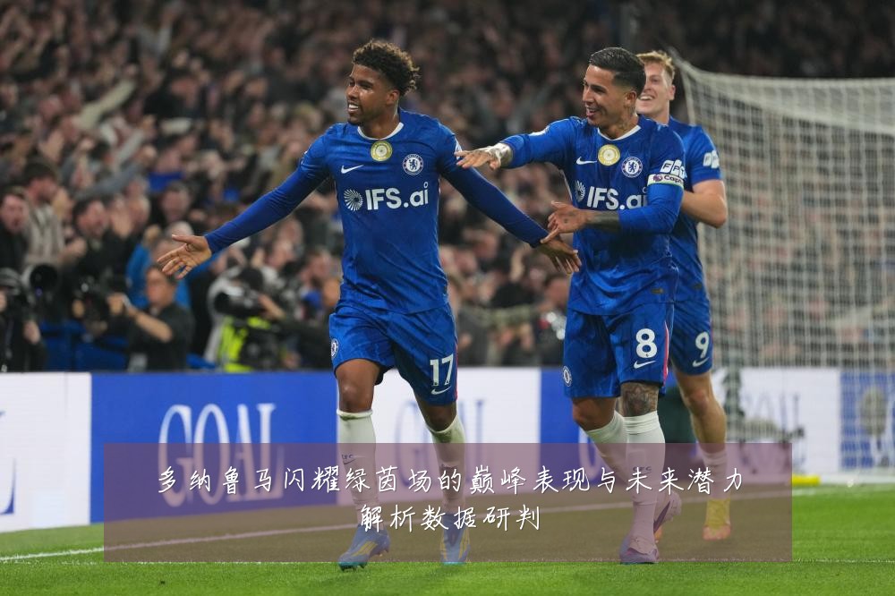 多纳鲁马闪耀绿茵场的巅峰表现与未来潜力解析数据研判