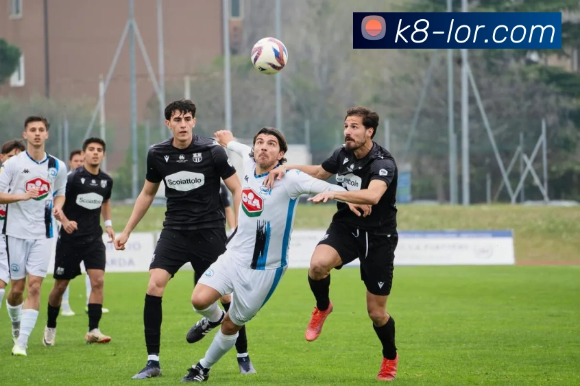 凯发娱乐平台展示图